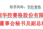 情侣配对华控赛格董事长、董秘、副总经理三高管同日辞职